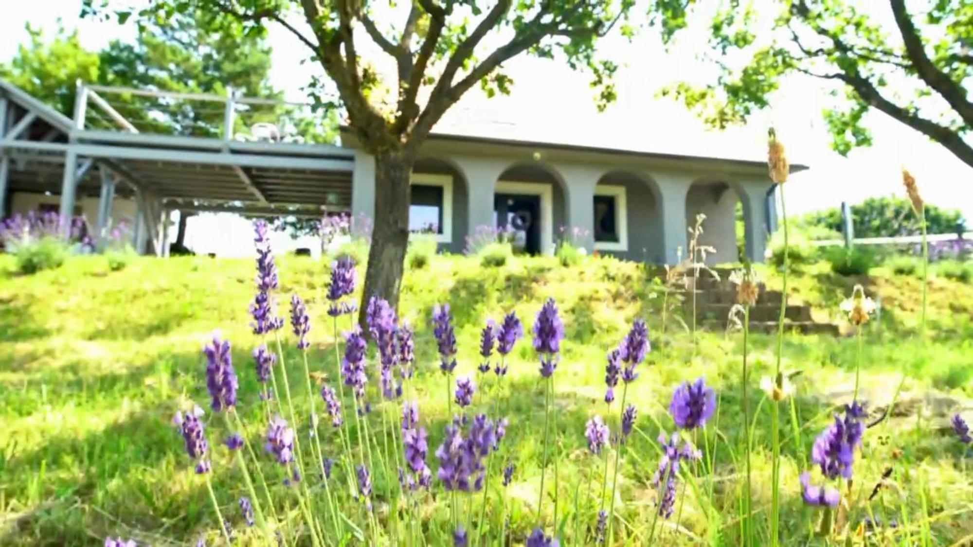 Voelgyhid Village Balaton Kőröshegy Eksteriør bilde