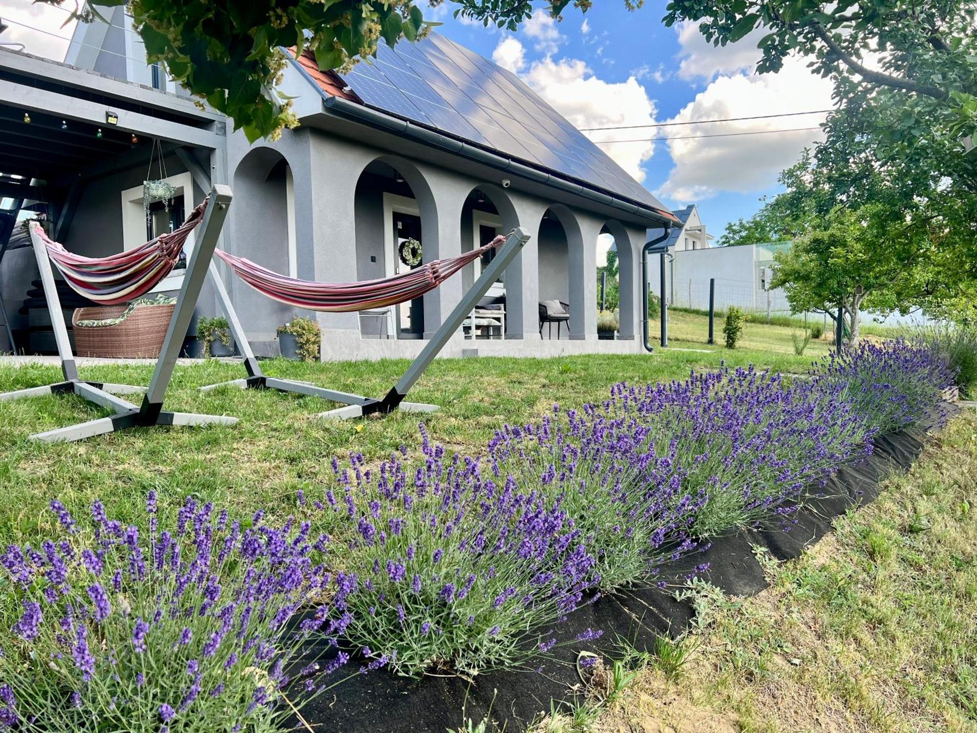Voelgyhid Village Balaton Kőröshegy Eksteriør bilde